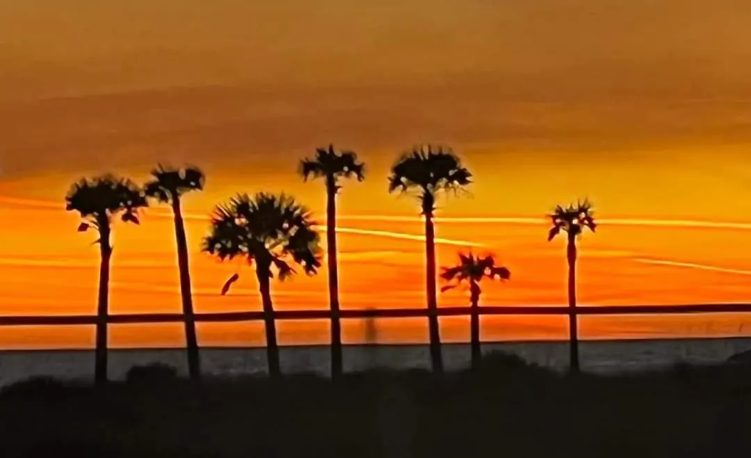 Shores Of Panama 521 - 2 Bedroom Bunks Sleeps 6, Reserved Parking! Condo Panama City Beach Apartment